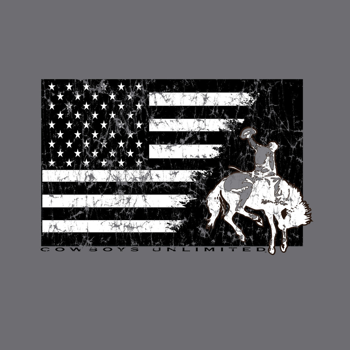 American Bronc - Hoodie