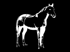 Quarter Q-Horse Decal