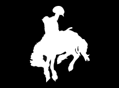 Bronc 2 Decal