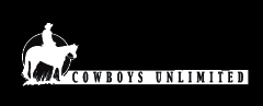 Cowboys Unlimited - Strip 15 inch