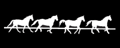Horses - Strip 15 inch