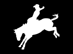 Bronc 3 Decal