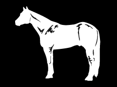 Q Horse 2 Decal