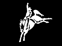 Bronc 5 Decal