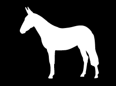 Mule 4 Decal