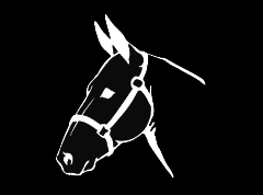 Mule Head 2 Decal