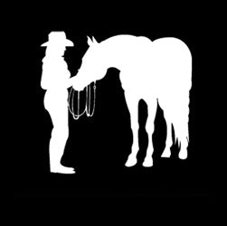 Friends - Cowgirl with Horse Decal