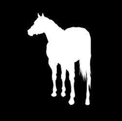 Horse 13 Decal