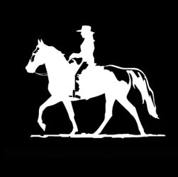 Cowgirl Gaited Horse Decal