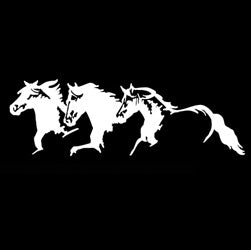 Horse Trio Decal