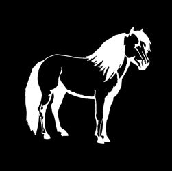 Pony Horse Decal