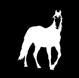 Facing Horse Decal