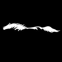 Racer Horse Decal