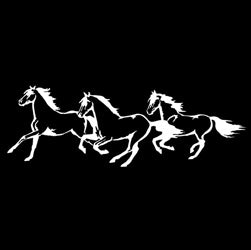 Three Horse Decal