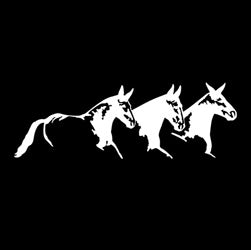 Mule Trio Decal