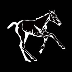 Foal Decal