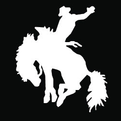 Buckaroo Mustang Decal