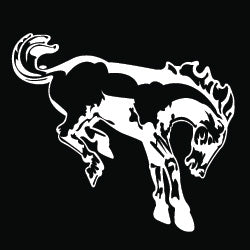 Kickster - Bucking Bronc Decal