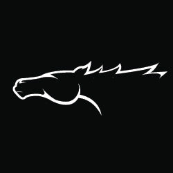 Steamline - Horse Head Decal