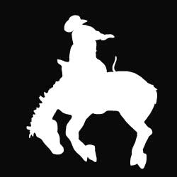 Mustang Ranch Decal – Country Barn USA