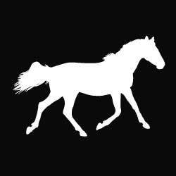 Horse Run Decal