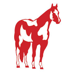 Paint Horse Reflective Trailer Decal