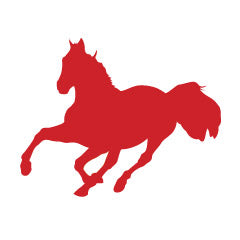 Horse 14 Reflective Trailer Decal