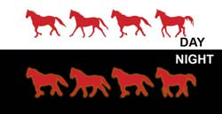 Running Horses Reflective Trailer Decal